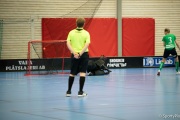 2022-03-18-Skara-Fristad-10