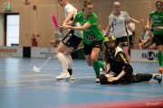 2023-03-25-Fristad-Linkoping-039