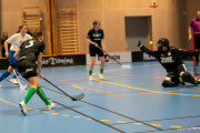 2024-01-19-Fristad-Halna-40