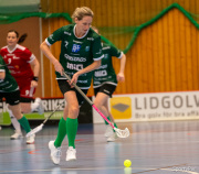 2024-01-28-Lidkoping-Fristad-19