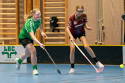 2024-03-24-Fristad-Wargarda-52