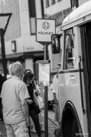 2024-06-25-torgtraff-13