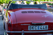 2024-06-25-torgtraff-15
