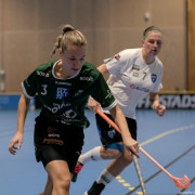 2024-11-03-Fristad-Stenungsund_0010