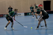 2024-11-16-Fristad-Sandared_0041