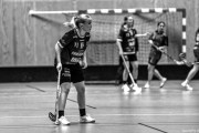 2024-11-23-Fristad-Alingsas_0002