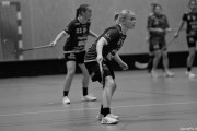 2024-11-23-Fristad-Alingsas_0024