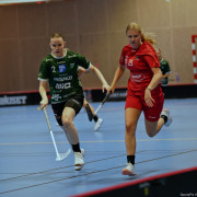 2024-12-01-Fristad-Lerum_0002