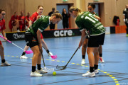 2024-12-01-Fristad-Lerum_0003