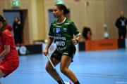 2024-12-01-Fristad-Lerum_0004