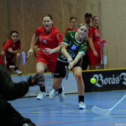 2024-12-01-Fristad-Lerum_0012