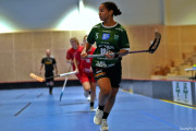 2024-12-01-Fristad-Lerum_0022