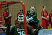 2024-12-01-Fristad-Lerum_0027