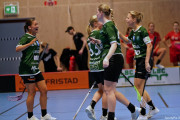 2024-12-01-Fristad-Lerum_0035
