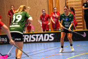 2024-12-01-Fristad-Lerum_0048
