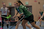 2024-12-17-Fristad-Hindas_0005