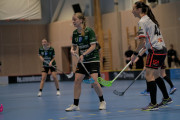 2024-12-17-Fristad-Hindas_0009
