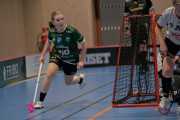 2024-12-17-Fristad-Hindas_0016