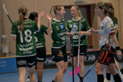 2024-12-17-Fristad-Hindas_0021