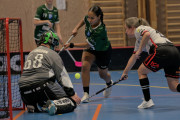 2024-12-17-Fristad-Hindas_0025
