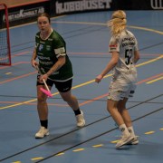 2025-01-12-Fristad-Pixbo_0001