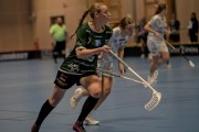 2025-01-12-Fristad-Pixbo_0004