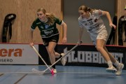 2025-01-12-Fristad-Pixbo_0005