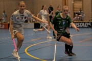 2025-01-12-Fristad-Pixbo_0006
