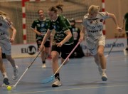 2025-01-12-Fristad-Pixbo_0007