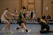 2025-01-12-Fristad-Pixbo_0008