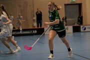 2025-01-12-Fristad-Pixbo_0009