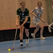 2025-01-12-Fristad-Pixbo_0010