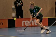 2025-01-12-Fristad-Pixbo_0011