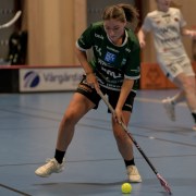 2025-01-12-Fristad-Pixbo_0012