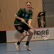 2025-01-12-Fristad-Pixbo_0013