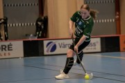 2025-01-12-Fristad-Pixbo_0015
