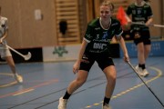 2025-01-12-Fristad-Pixbo_0016