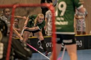 2025-01-12-Fristad-Pixbo_0017