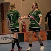 2025-01-12-Fristad-Pixbo_0018