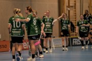 2025-01-12-Fristad-Pixbo_0019