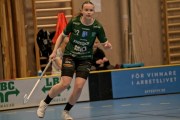 2025-01-12-Fristad-Pixbo_0020