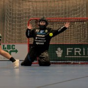 2025-01-12-Fristad-Pixbo_0021