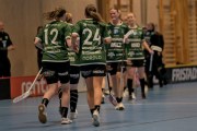 2025-01-12-Fristad-Pixbo_0023