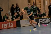 2025-01-12-Fristad-Pixbo_0024