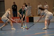 2025-01-12-Fristad-Pixbo_0026
