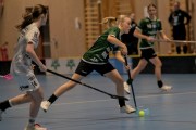 2025-01-12-Fristad-Pixbo_0027