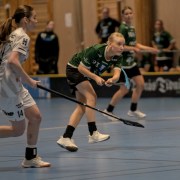 2025-01-12-Fristad-Pixbo_0028