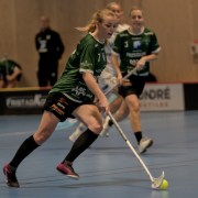 2025-01-12-Fristad-Pixbo_0029