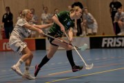 2025-01-12-Fristad-Pixbo_0030