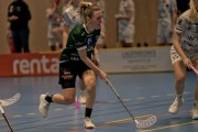 2025-01-12-Fristad-Pixbo_0032